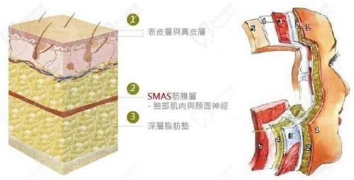 成都素美劉遠程做筋膜提升口碑特別贊