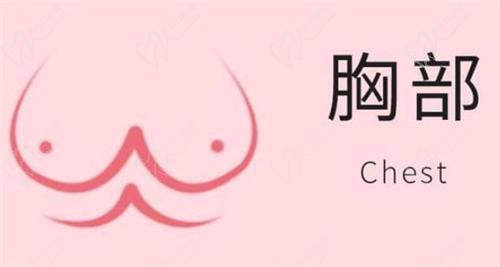 珠海韓妃全城招募美胸模特，僅限3名入選后享受超低隆胸折扣價
